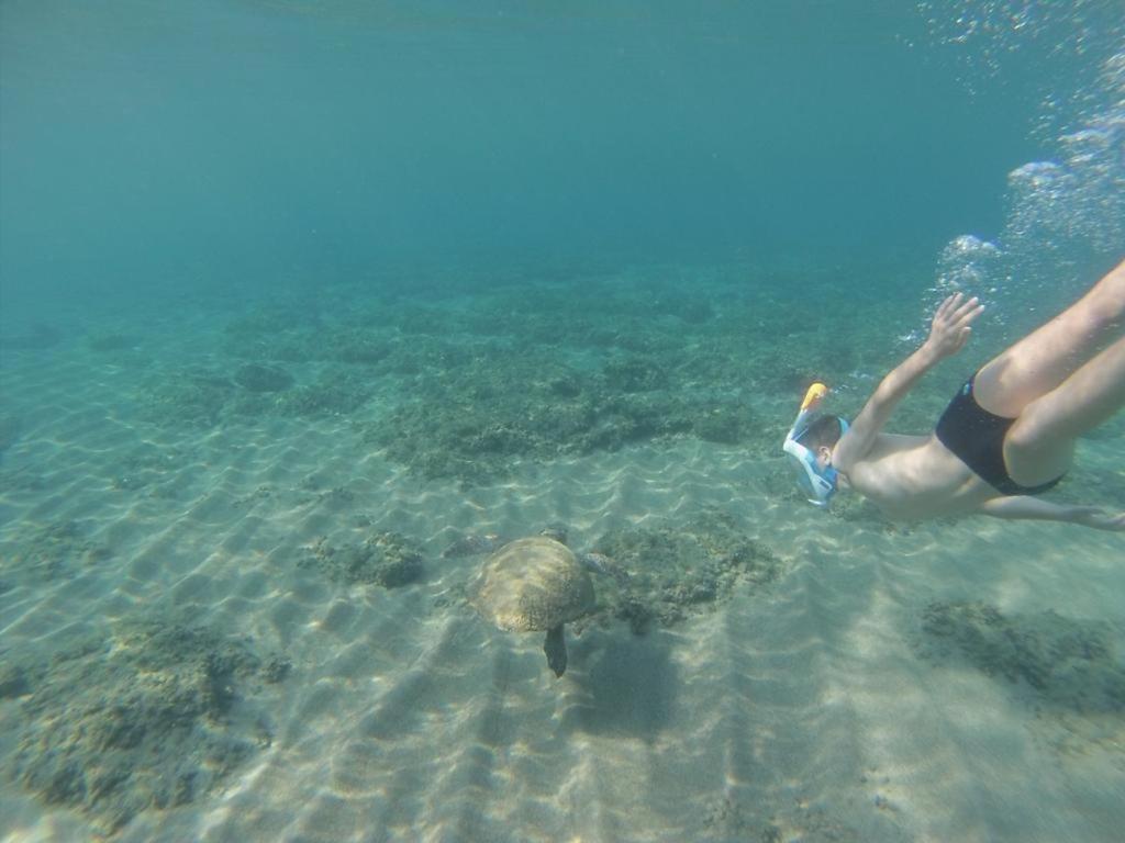 Irida Beach Resort Suites Kyparissia Buitenkant foto